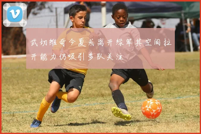 武切维奇今夏或离开绿军其空间拉开能力仍吸引多队关注