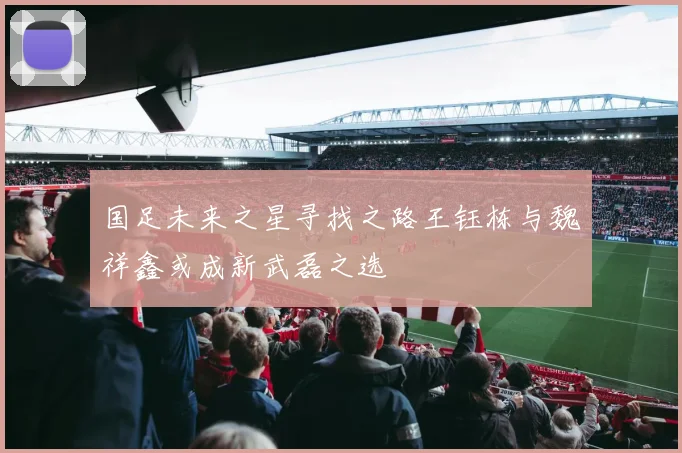 国足未来之星寻找之路王钰栋与魏祥鑫或成新武磊之选